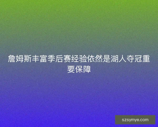 詹姆斯丰富季后赛经验依然是湖人夺冠重要保障